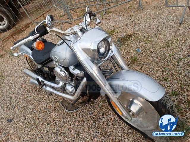 LOTE 15 HARLEY DAVIDSON SOFTAIL 2020/2020